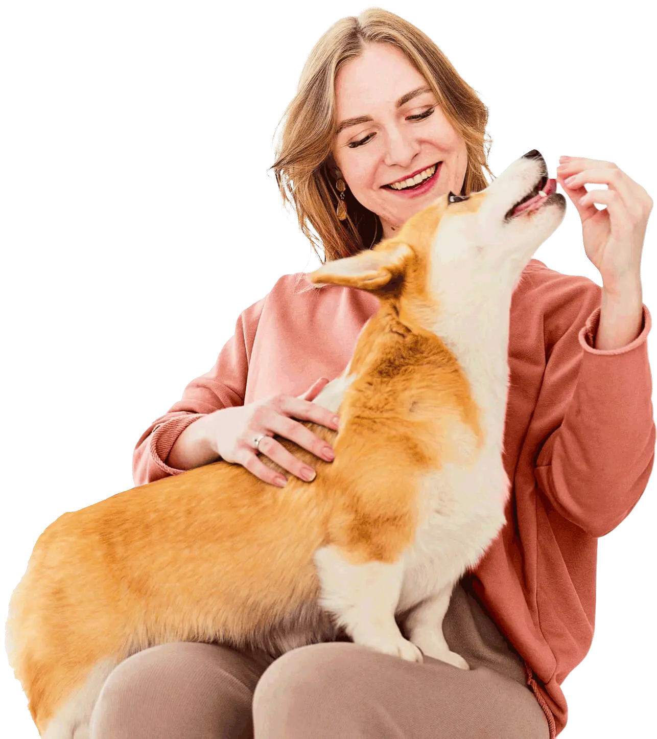 Fucinhos e Patas - Hospital Veterinário 24h